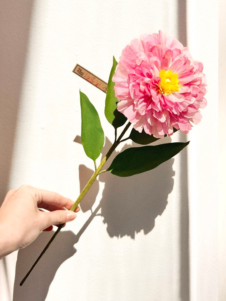 Zinnia Stem