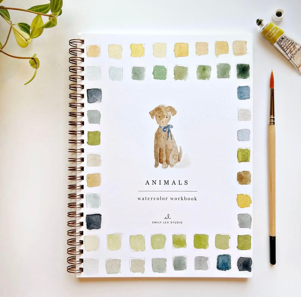 Animals watercolor workbook Emily Lex