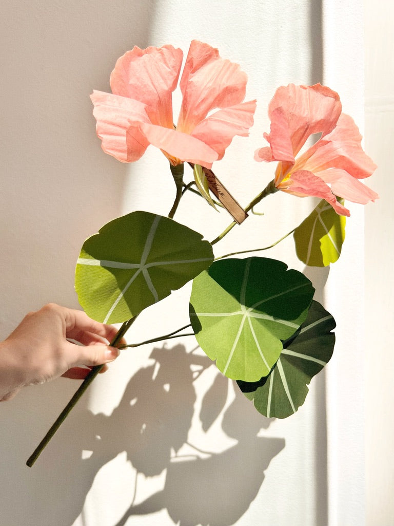 Nasturtium Stem