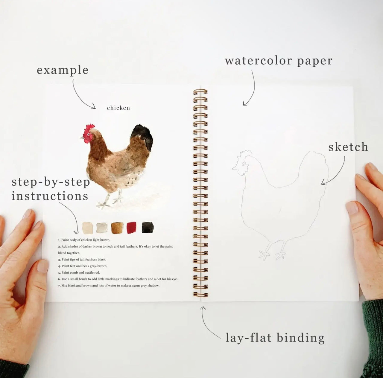 Animals watercolor workbook Emily Lex