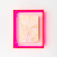 Thumbnail for Pampas Grass, Pink Frame - Kate K