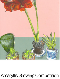 Thumbnail for Mark Parker Print