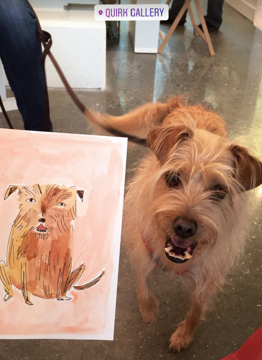 Pet Portraits with Elizabeth Graeber