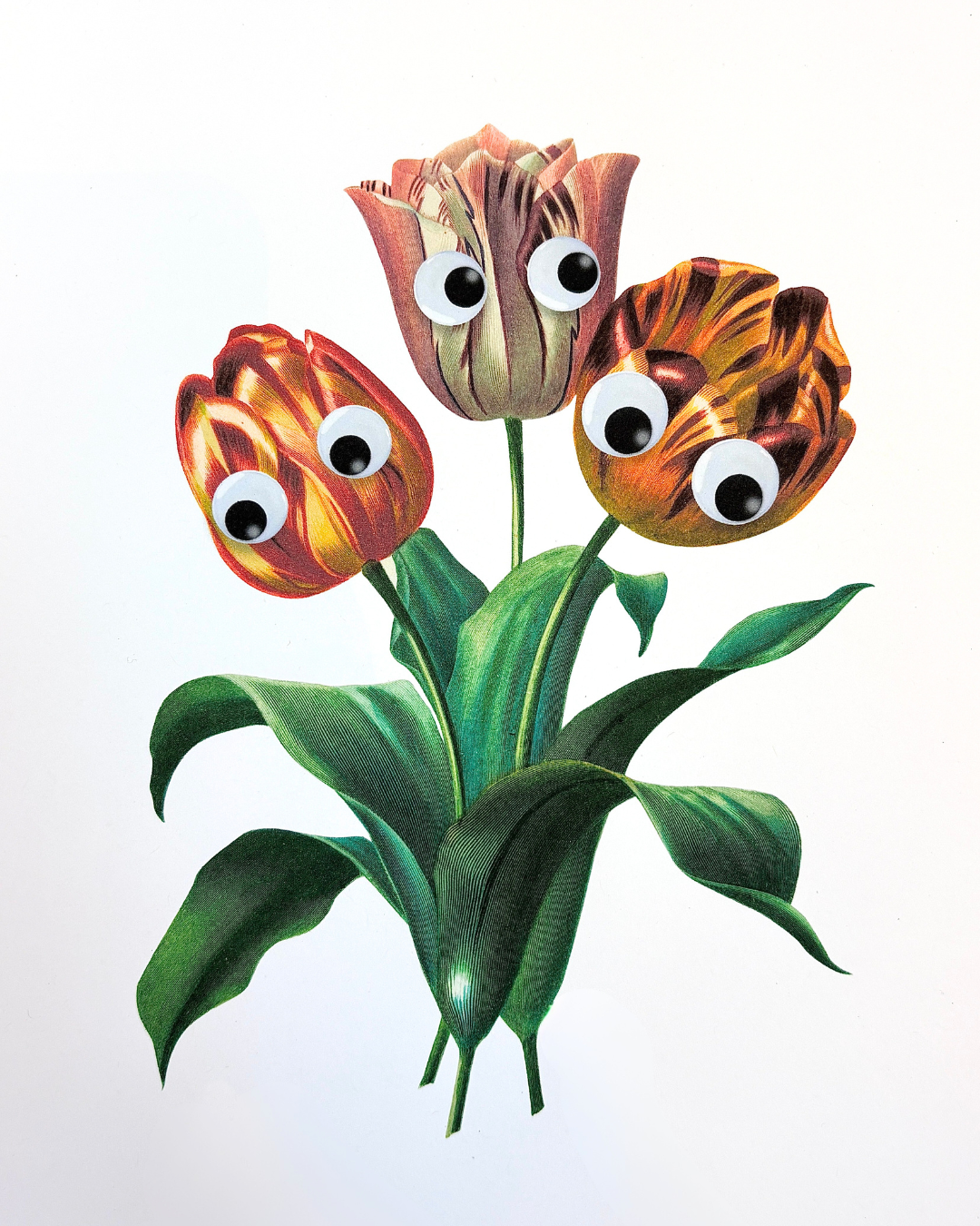 Tulips Stay Home Club Digital Print