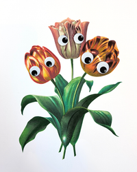 Thumbnail for Tulips Stay Home Club Digital Print