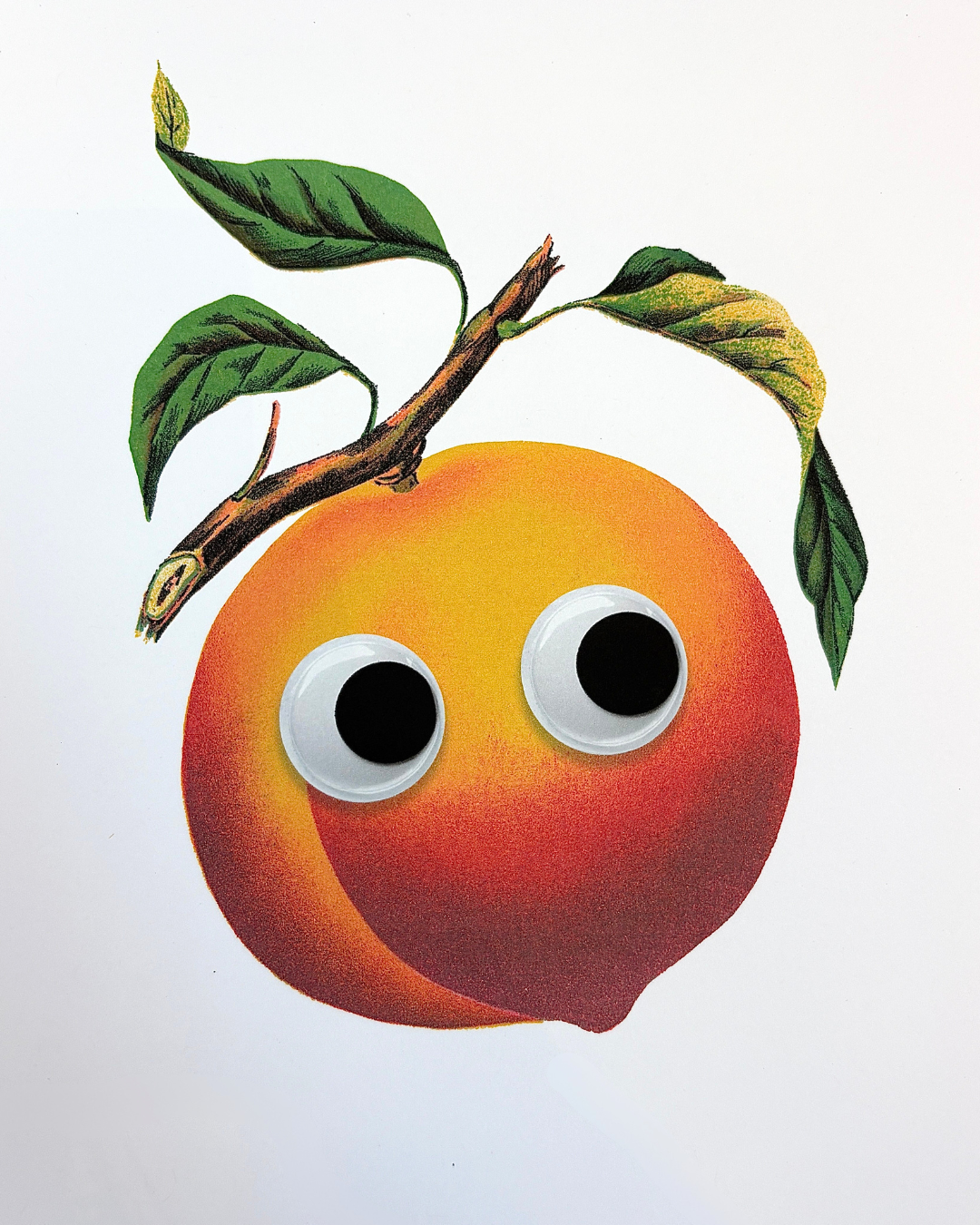 Peach Stay Home Club Digital Print